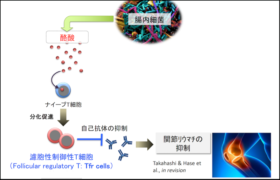 濾胞性リンパ腫の治療法にはどのようなものがありますか?